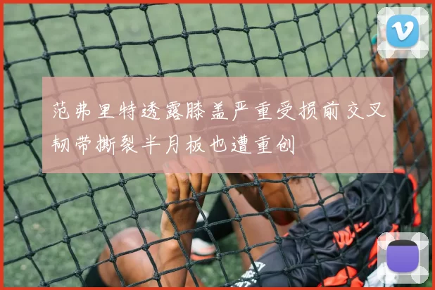 范弗里特透露膝盖严重受损前交叉韧带撕裂半月板也遭重创